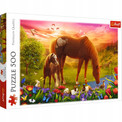 Puzzle 500 Koń Zachód Słońca - Trefl