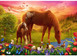 Puzzle 500 Układanka Koń KONIE Zachód Słońca Natura Obraz 10+ Trefl 37451