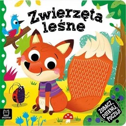Zobacz, dotknij, poczuj! Zwierzęta leśne Grażyna Wasilewicz