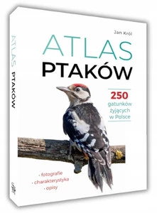 Atlas Ptaków 250 Gatunków Żyjących w Polsce Jan Król SBM