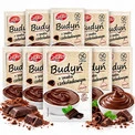 10x Budyń czekoladowy bez glutenu Celiko 40g