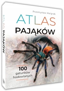 Atlas Pająków Ptaszniki 100 Gatunków Hodowlanych Malgrab SBM