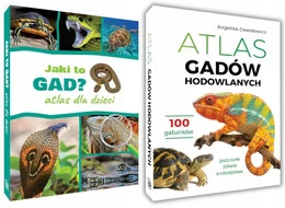 GADY Encyklopedia i Atlas Dla Dzieci Jaki To Gad? SBM