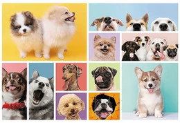 Puzzle 160 el. Psia przyjaźń Trefl