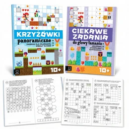 2 książki z łamigłówkami dla dzieci 10+ – Praca