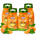 Dosfarm - Drażetki miętowo-mandarynkowe 4-pack 15g (z wit. C, bez cukru)