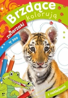 Kolorowanka Brzdące Kolorują Zwierzaki W Zoo 3+ Skrzat