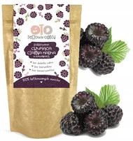 OtoLandia Tęczowy ogród Owoce liofilizowane w kawałkach Malina czarna 20 g