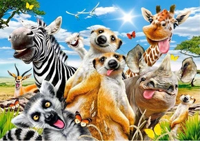 PUZZLE 500 UKŁADANKA ZWIERZĘTA AFRYKI SELFIE SAFARI ZEBRA ŻYRAFA 9+ CASTOR