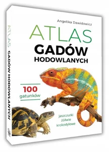 Atlas Gadów Hodowlanych: Jaszczurki, Żółwie, Krokodylowe (100 gatunków) | Angelika Dawidowicz