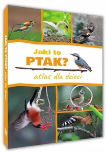 Jaki to ptak? Atlas dla Dzieci Dominik Marchowski | Książka Przyroda