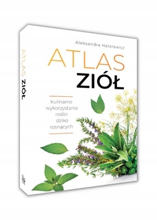 Atlas ZIÓŁ Jadalne 120 Roślin Dziko Rosnących Aleksandra Halarewicz SBM