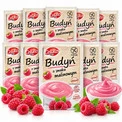Budyń Malinowy Bez Glutenu i Cukru CELIKO 40g x10