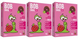 3x Przekąska Owocowa Jabłko Malina Bez Cukrów 100g BOB SNAIL