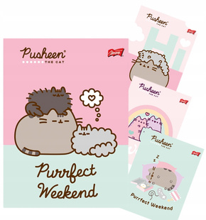 4x Zeszyt Szkolny A5 32k PUSHEEN W Kolorową Linię Unipap