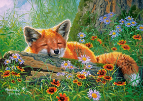 Puzzle 100 Układanka Natura ŚPIĄCY LIS Lisek Fox Las Kwiaty Pole 6+ Castor