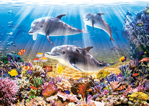 Puzzle 500 Układanka DELFINY Pod Wodą Ocean Morze Ryby Obraz 9+ Castorland