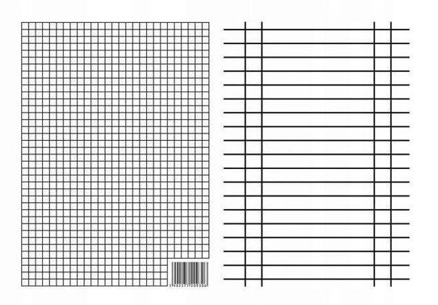 Liniuszek A5 Dwustronny KRATKA LINIA Pomoc Szkolna Interdruk 09306