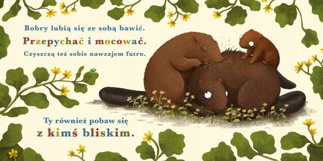PAKIET Rok W Lesie + Wiewiórka + Bóbr + Borsuk +Niedźwiedź Nasza Księgarnia