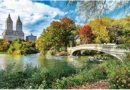 PUZZLE 1500 CENTRAL PARK NOWY JORK LAS NATURA MOST